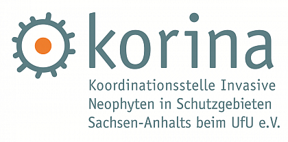 Logo KORINA im UfU e.V.